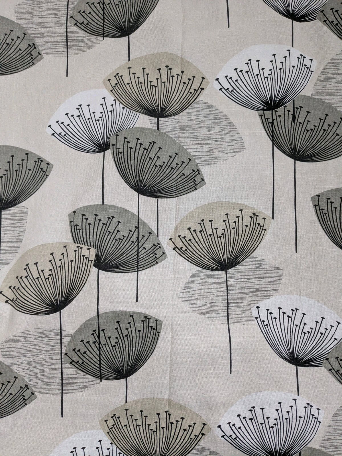 Sanderson Curtains W168 x L210 cm Dandelion Clocks Beige Eyelet Long