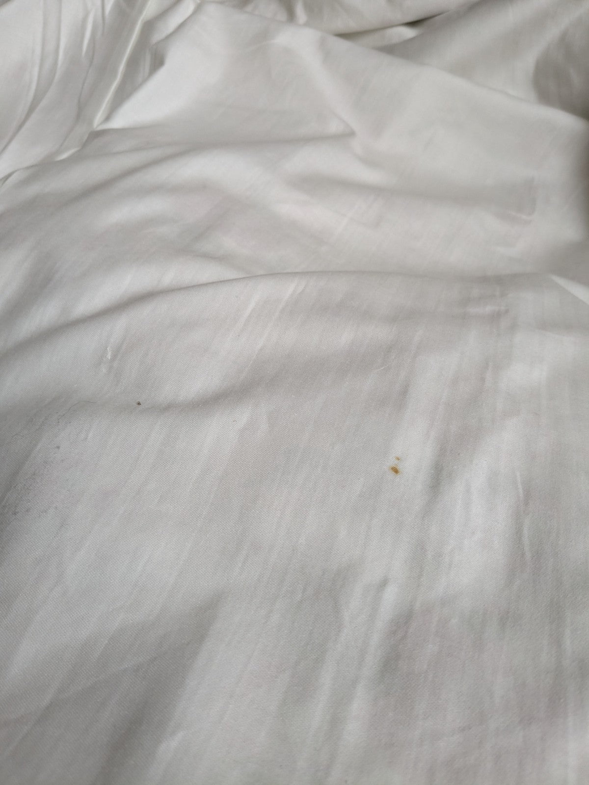 Laura Ashley Pencil Pleat Curtains Arundel Rose Floral D81 x W51 in Lined Long